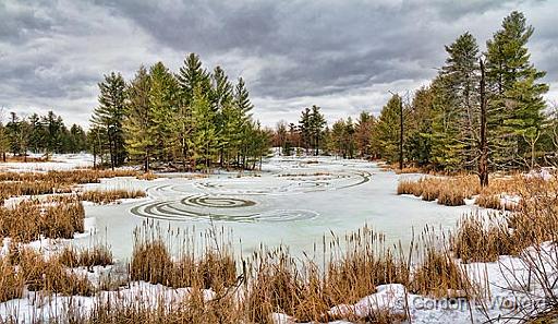 Winterscape_06869-70.jpg - Photographed near Perth, Ontario, Canada.